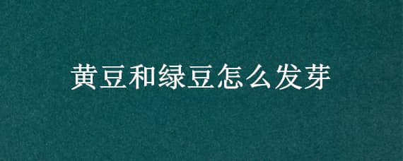 黄豆和绿豆怎么发芽 黄豆和绿豆怎么发芽的