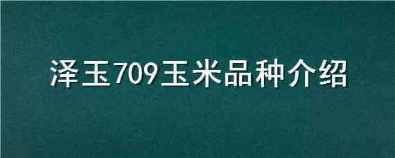 泽玉709玉米品种介绍（泽玉806玉米品种）