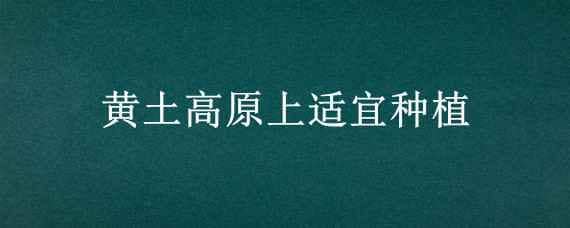 黄土高原上适宜种植（黄土高原上适宜种植高粱吗）