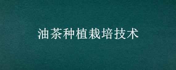 油茶种植栽培技术 油茶种植栽培技术指导
