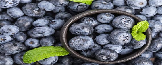 蓝莓丰产栽培实用技术 蓝莓丰产栽培实用技术pdf 张东升