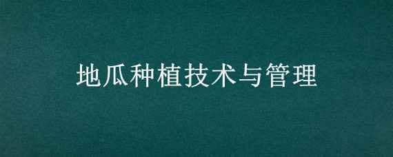 地瓜种植技术与管理 地瓜种植技术与管理图片