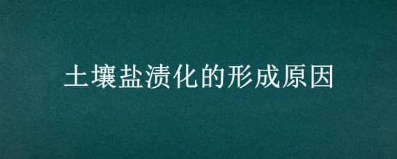 土壤盐渍化的形成原因（土壤盐渍化的形成原因答题模板）