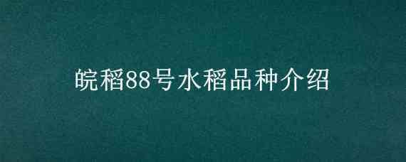 皖稻88号水稻品种介绍 皖稻56品种简介