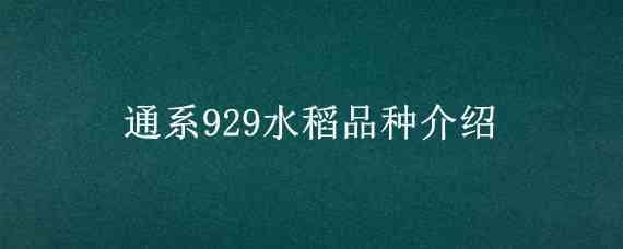 通系929水稻品种介绍 通系932水稻品种简介