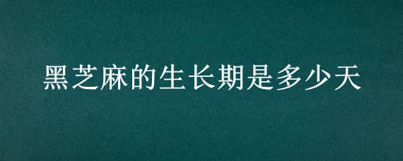 黑芝麻的生长期是多少天