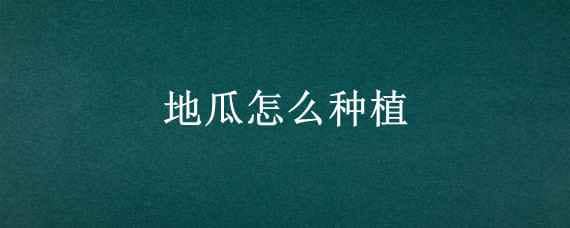 地瓜怎么种植（地瓜怎么种植方法视频）