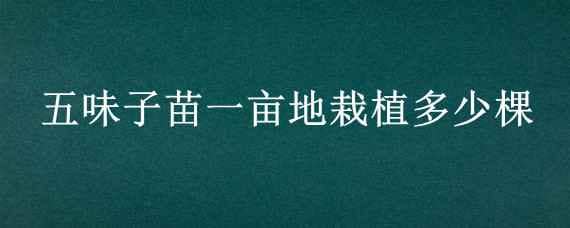 五味子苗一亩地栽植多少棵 五味子种植一亩地要多少棵苗