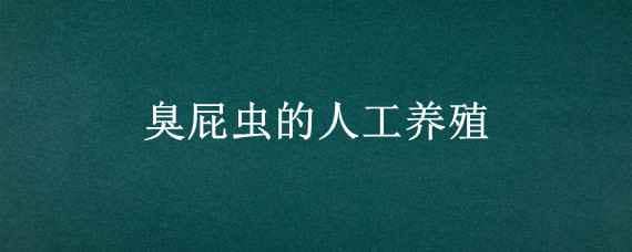 臭屁虫的人工养殖 臭屁虫养殖技术