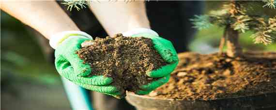 硼肥是什么肥料（硼肥属于什么肥料）