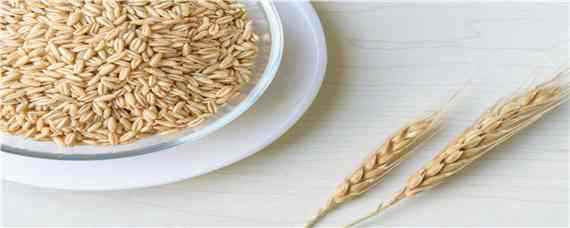 辛硫磷拌小麦种子怎样用 辛硫磷能与玉米种子拌种吗