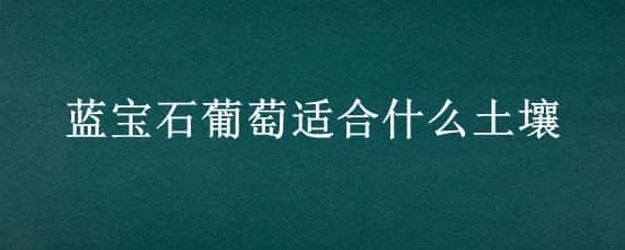 蓝宝石葡萄适合什么土壤（蓝宝石葡萄树适合什么地区种植）