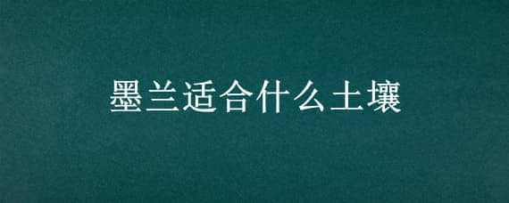 墨兰适合什么土壤 墨兰需要什么样的土