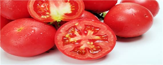 小番茄秧适合什么土壤 番茄苗怎么种植