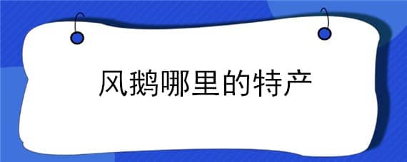 风鹅哪里的特产 风鹅哪里最正宗