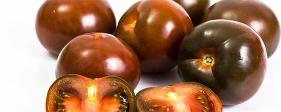 黑番茄的种植条件（黑柿子种植条件）
