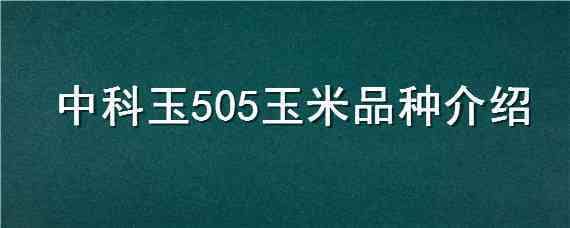 中科玉505玉米品种介绍 中科玉505玉米种简介及联系电话