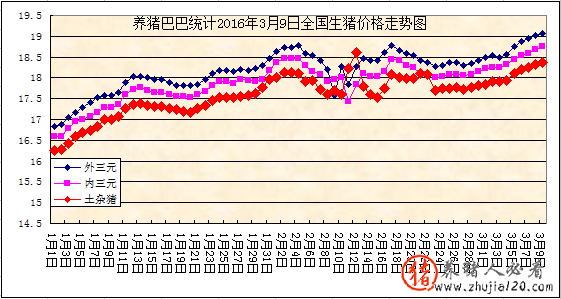 趋势：国内猪市出现火热行情 最新猪市行情走势