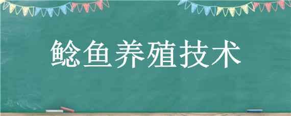 鲶鱼养殖技术 大口鲶鱼养殖技术