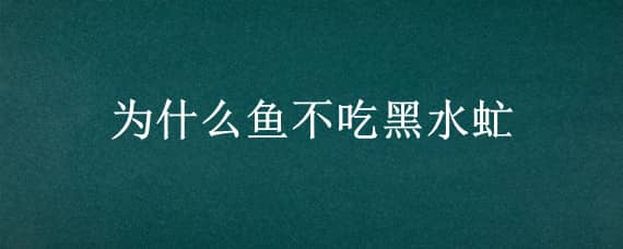 为什么鱼不吃黑水虻（桂鱼吃黑水虻虫吗）