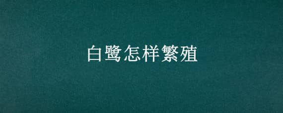 白鹭怎样繁殖（白鹭怎样繁殖视频）