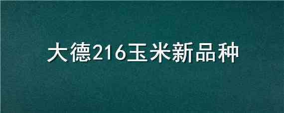 大德216玉米新品种 大德216玉米品种简介