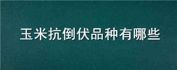 玉米抗倒伏品种有哪些