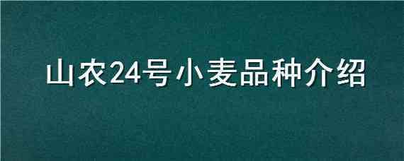 山农24号小麦品种介绍（山农24号小麦品种简介）