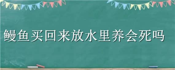 鳗鱼买回来放水里养会死吗 鳗鱼离开水会死吗