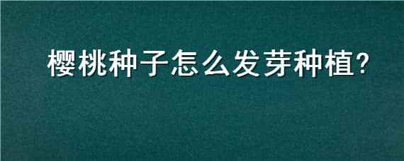 樱桃种子怎么发芽种植