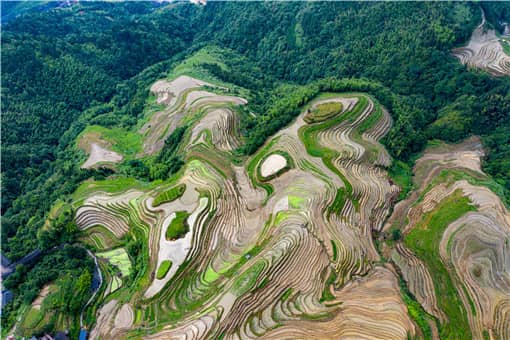 耕地地力保护补贴的申报流程是什么（耕地地力保护补贴资金发放流程）