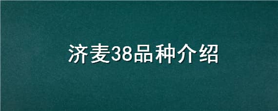 济麦38品种介绍（济麦38小麦品种简介）