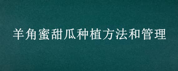 羊角蜜甜瓜种植方法和管理