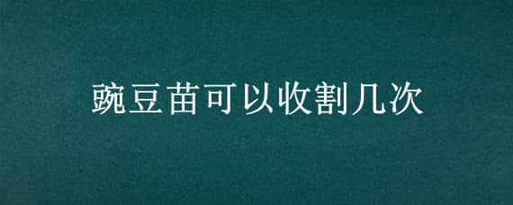 豌豆苗可以收割几次