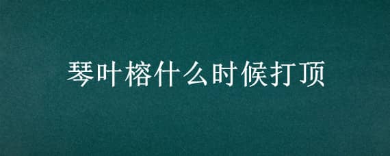 琴叶榕什么时候打顶 琴叶榕什么时候打顶合适