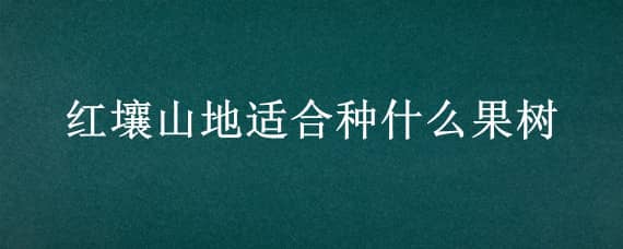 红壤山地适合种什么果树（红土适合种植什么水果）