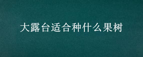 大露台适合种什么果树 大露台适合种什么果树呢