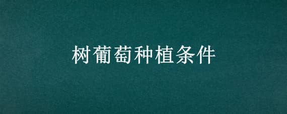 树葡萄种植条件