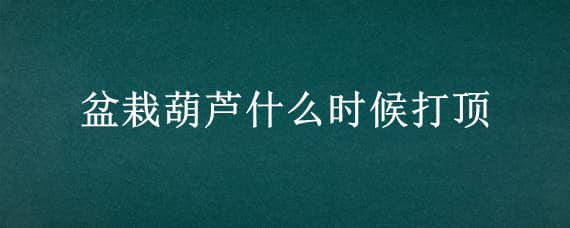 盆栽葫芦什么时候打顶（葫芦种植打顶）