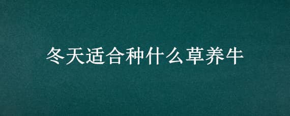 冬天适合种什么草养牛（冬天适合种什么草养牛羊）