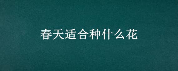 春天适合种什么花（春天适合种什么花籽）