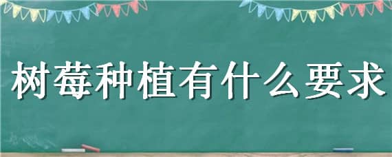 树莓种植有什么要求（树莓适合地栽吗）