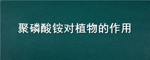 聚磷酸铵对植物的作用 聚磷酸铵在农业上作用