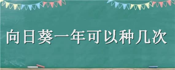 向日葵一年可以种几次