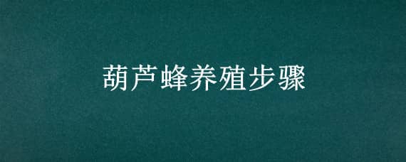 葫芦蜂养殖步骤 葫芦蜂养殖步骤图