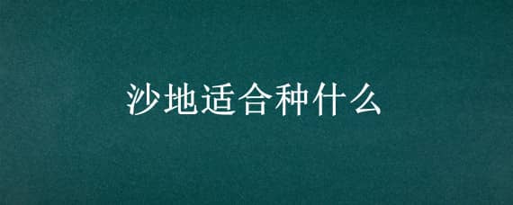 沙地适合种什么（盐碱沙地适合种什么）