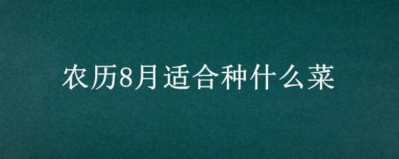 农历8月适合种什么菜 阳历八月份适合种什么菜