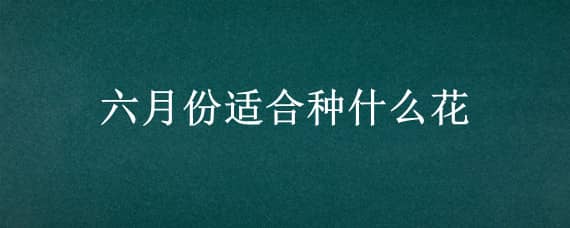 六月份适合种什么花 六月份适合种什么花种子