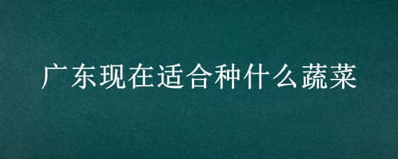 广东现在适合种什么蔬菜 广东现在适合种什么蔬菜合适呢