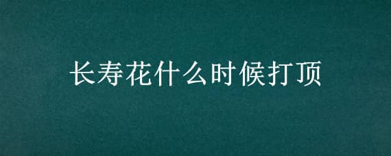 长寿花什么时候打顶（扦插长寿花什么时候打顶）